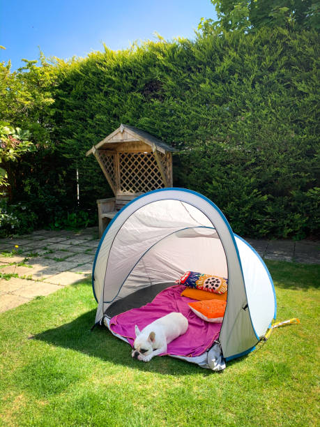 pet tent